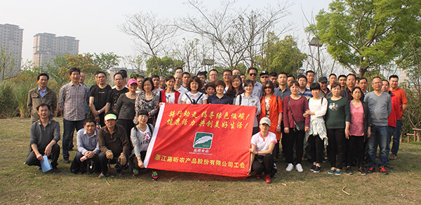 1498102391774835.jpg 17-4-16新塍绿路-(1).jpg