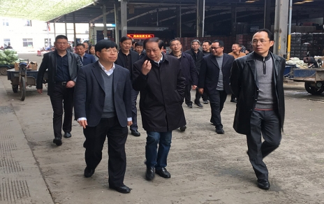 2017年3月16日下午，嘉兴市委常委、常务副市长楼建明带领市级相关部门负责人视察嘉兴蔬菜批发市场