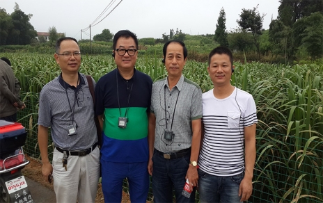 2014年8月，中国蔬菜流通协会会长戴中久与公司、市场领导一起考察蔬菜基地