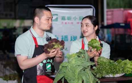 令媛如玉，一口清心--生菜?油麦菜?莴笋直播专场